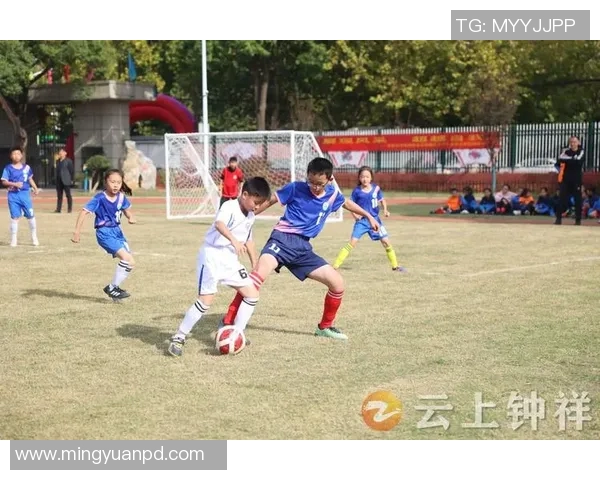 孩子们在绿茵场上尽情挥洒汗水踢足球收获快乐与友谊的成长之旅
